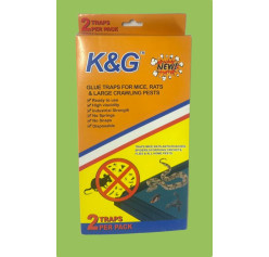 Wholesale RAT Glue Trap pitfall-Large
