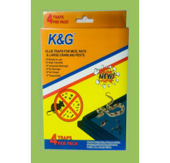 Wholesale RAT Glue Trap pitfall-Small