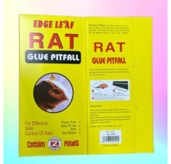 Wholesale RAT Glue Trap pitfall-Large